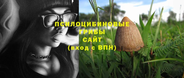 скорость Мегион