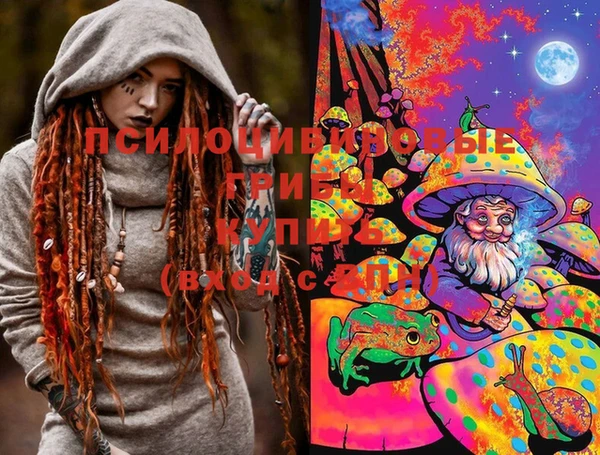 МДПВ Медвежьегорск