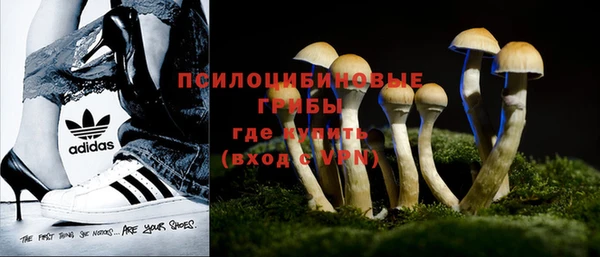 МДПВ Медногорск